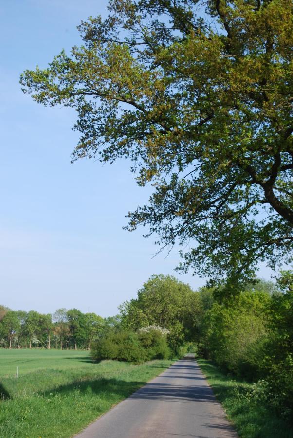 Ferienwohnung Im Gruenen - Hof Blohme Langwedel  Exterior photo